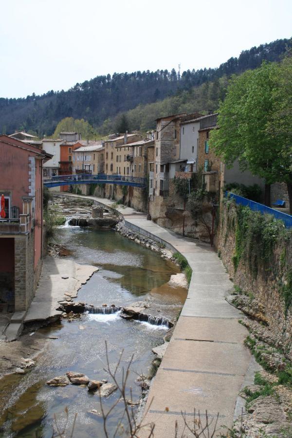 Le Therminus Chambres D Hotes Rennes-les-Bains المظهر الخارجي الصورة